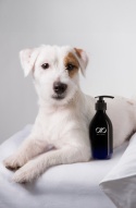 AIO Nature - MINI - Naturalny szampon hipoalergiczny dla zwierząt 150ml