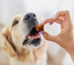 Perro - BON BON Wołowina - zdrowe stawy Przysmaki z dodatkiem funkcyjnym 80g