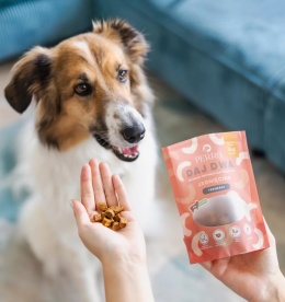 Perro - DAJ DWA Trenerki Jagnięcina 85g