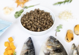 YDOLO Wild Fish - Ryby morskie - Karma półwilgotna dla psa 100g