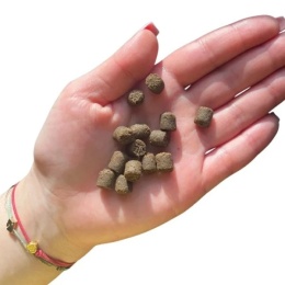 Farma - Hipoalergiczna karma tłoczona na zimno - Dziczyzna 2kg