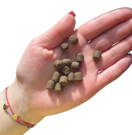 Farma - Hipoalergiczna karma tłoczona na zimno - Kaczka 2kg