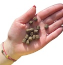 Farma - Hipoalergiczna karma tłoczona na zimno - Konina 2kg