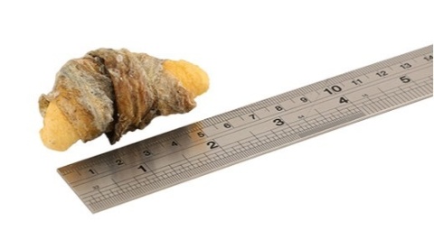 Fish4Dogs - Apple Fish Wraps - Przysmaki dla psa - jabłko owinięte plastrem ryby 90g