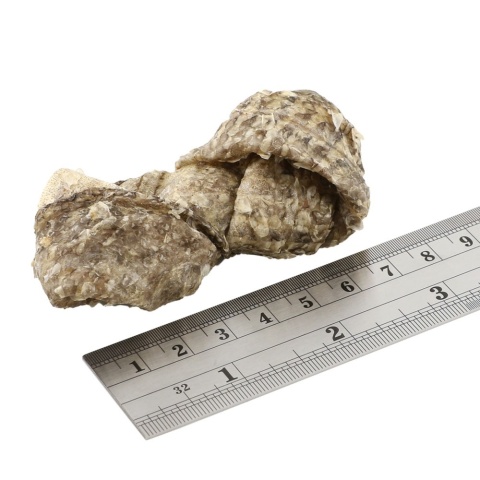 Fish4Dogs - Dental Sea Jerky Fish Knots - przysmaki dentystyczne dla psa 100g