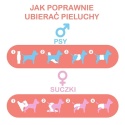 MISOKO - Wielorazowa pielucha dla suczek - KONIK MORSKI roz. XL