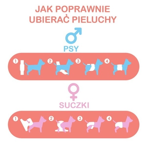 MISOKO - Wielorazowa pielucha dla suczek - PSZCZOŁY roz. L