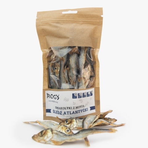 ROGY - Śledź 70g
