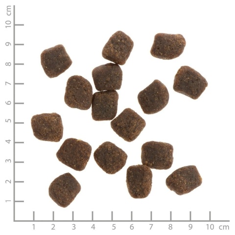 WILDES LAND DOG - Indyk i łosoś - półwilgotna karma dla psa 1,5kg