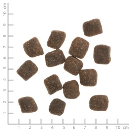 WILDES LAND DOG - Jagnięcina - półwilgotna karma dla psa 1,5kg
