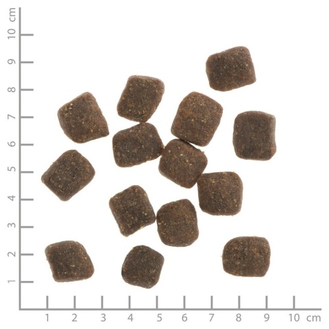 WILDES LAND DOG - Jagnięcina - półwilgotna karma dla psa 1,5kg