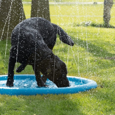CoolPets - SPLASH Mata dla psów ze spryskiwaczami 150cm