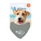 Coolpets - Bandama chłodząca dla psa beżowa S