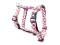 Max&Molly H-Harness Strawberry Dream - Szelki dla psa regulowane - L