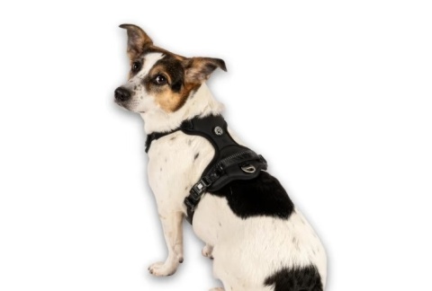 Max&Molly Sport Harness Matrix 2.0 Black - Szelki regulowane dla psa z identyfikatorem QR - L