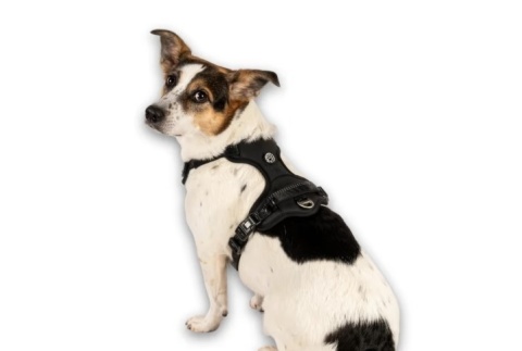 Max&Molly Sport Harness Matrix 2.0 Black - szelki regulowane dla psa z identyfikatorem QR - S