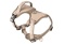 Max&Molly Sport Harness Matrix 2.0 Sand - szelki regulowane dla psa z identyfikatorem QR - S