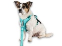 Max&Molly Sport Harness Matrix 2.0 Turquoise - szelki regulowane dla psa z identyfikatorem QR - L