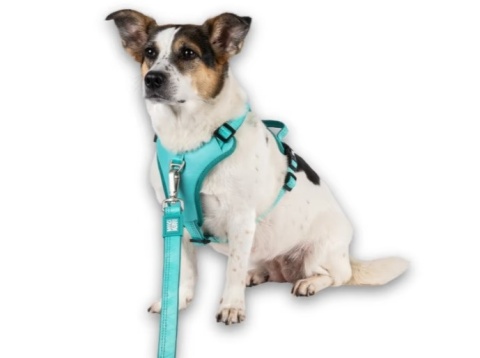 Max&Molly Sport Harness Matrix 2.0 Turquoise - szelki regulowane dla psa z identyfikatorem QR - L