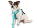 Max&Molly Sport Harness Matrix 2.0 Turquoise - szelki regulowane dla psa z identyfikatorem QR - M