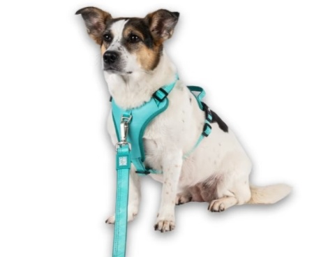 Max&Molly Sport Harness Matrix 2.0 Turquoise - szelki regulowane dla psa z identyfikatorem QR - M