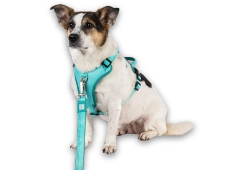 Max&Molly Sport Harness Matrix 2.0 Turquoise - szelki regulowane dla psa z identyfikatorem QR - S