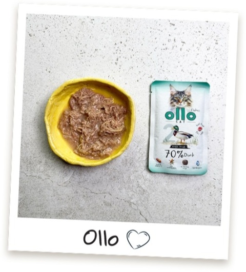 Ollo Cat - nr 2 Kaczka - Uzupełniająca karma mokra dla kota 85g