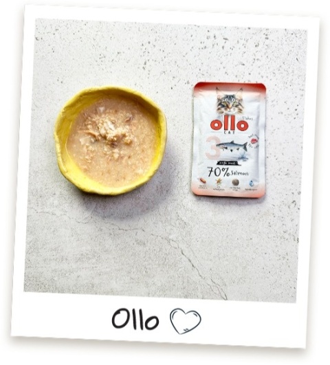 Ollo Cat - nr 3 Łosoś - Uzupełniająca karma mokra dla kota 85g