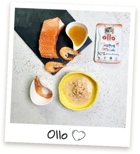 Ollo Cat - nr 7 Łosoś i Krewetki - Uzupełniająca karma mokra dla kota 85g