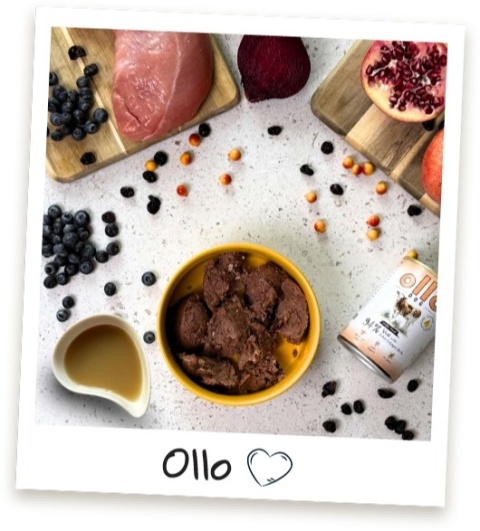 Ollo Plus Kolagen Cielęcina - Karma mokra dla psa 400g