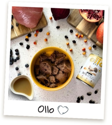 Ollo Plus Kolagen Indyk - Karma mokra dla psa 400g