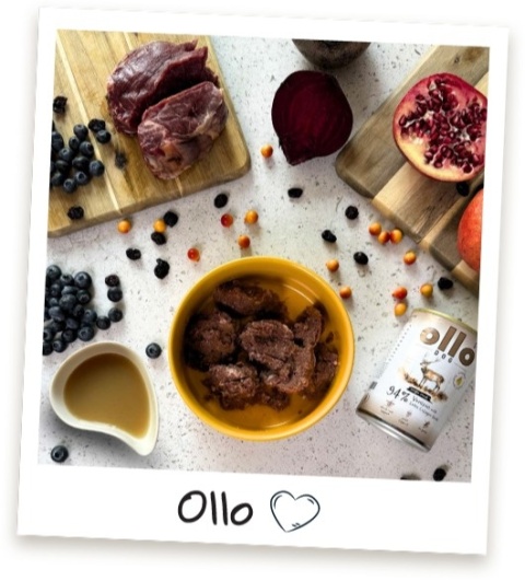 Ollo Plus Kolagen Jeleń - Karma mokra dla psa 400g