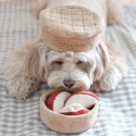 Pups & Bubs - APPLE PIE - Zabawka węchowa Szarlotka