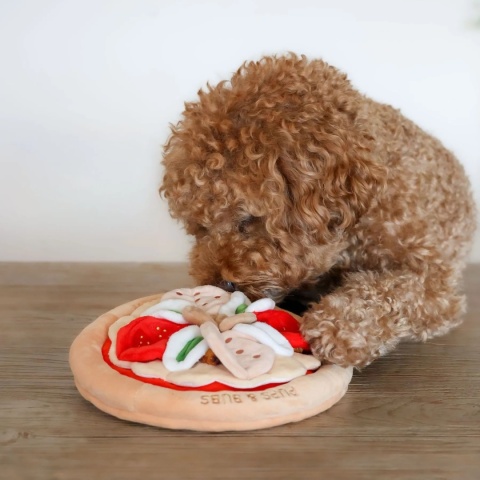 Pups & Bubs - PEPPERONI PIZZA - Zabawka węchowa Pizza Pepperoni