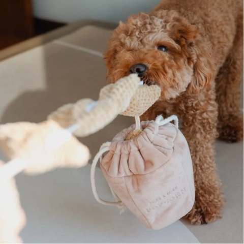 Pups & Bubs - POPCORN - Zabawka węchowa