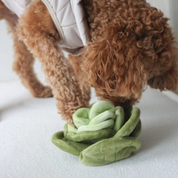 Pups & Bubs - SNUFFLE CABBAGE - Zabawka węchowa Kapusta
