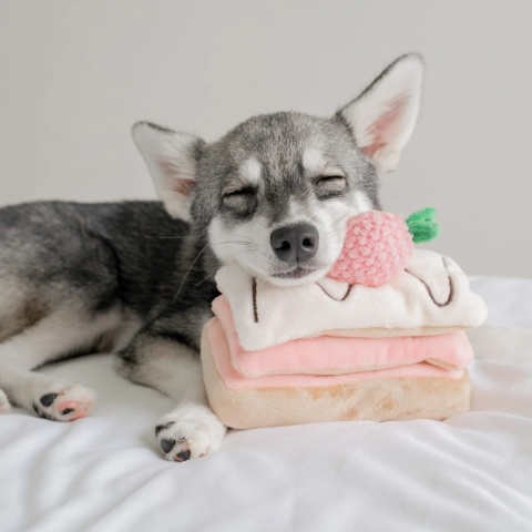 Pups & Bubs - STRAWBERRY MILLE-FEUILLE - Zabawka węchowa Truskawkowy Torcik